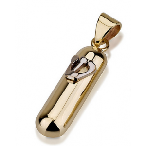 14k Yellow Gold Rounded Mezuzah Pendant with Hebrew Shin in Shiny White Gold  Colares e Pingentes