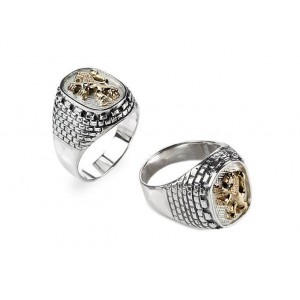 Sterling Silver Ring with Lion of Judah and Jerusalem Stone in Gold by Rafael Jewelry Dia de Jerusalém