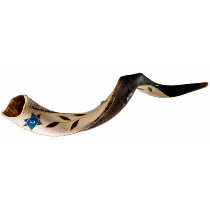 Yemenite Half-Polished Horn Shofar with Star of David by Barsheshet-Ribak