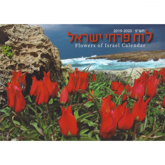 2019-2020 Flowers of Israel Wall Calendar