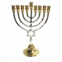 Hanukkah Menorah with Hammered Star of David in Silver Plating